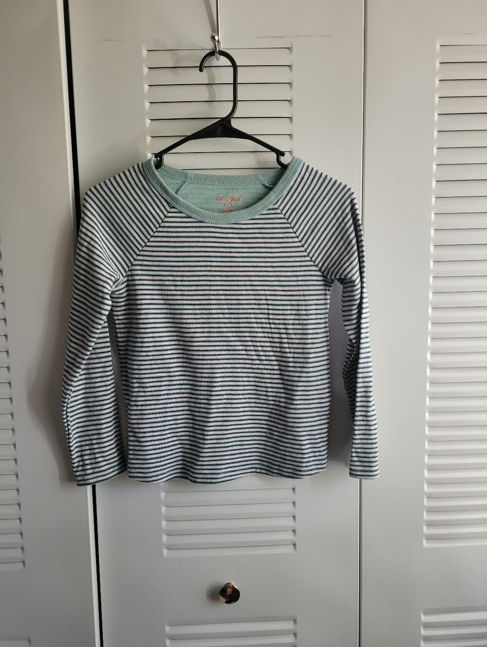Cat & Jack Mint and Purple Striped Long-Sleeve Tee